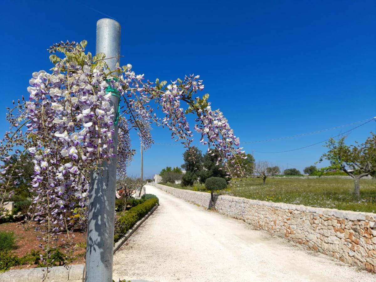 Dimora Verde B Con Trullo Masseria Poesia Cisternino Exterior foto