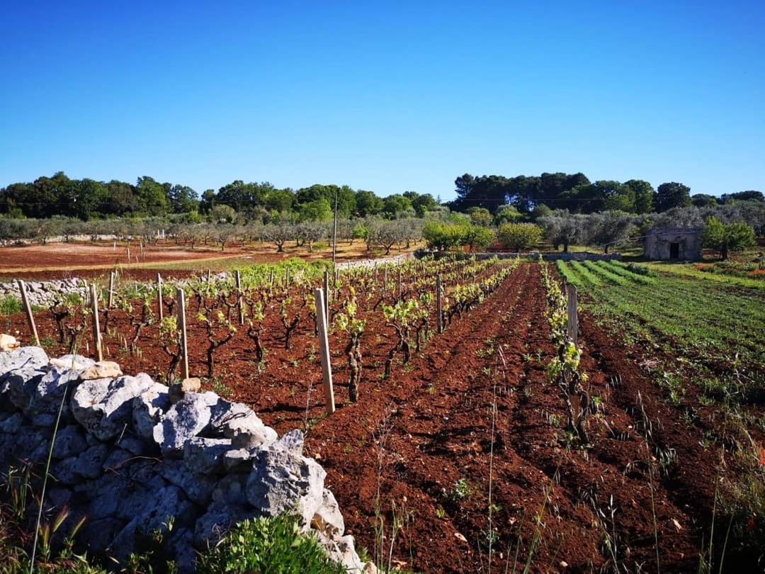 Dimora Verde B Con Trullo Masseria Poesia Cisternino Quarto foto
