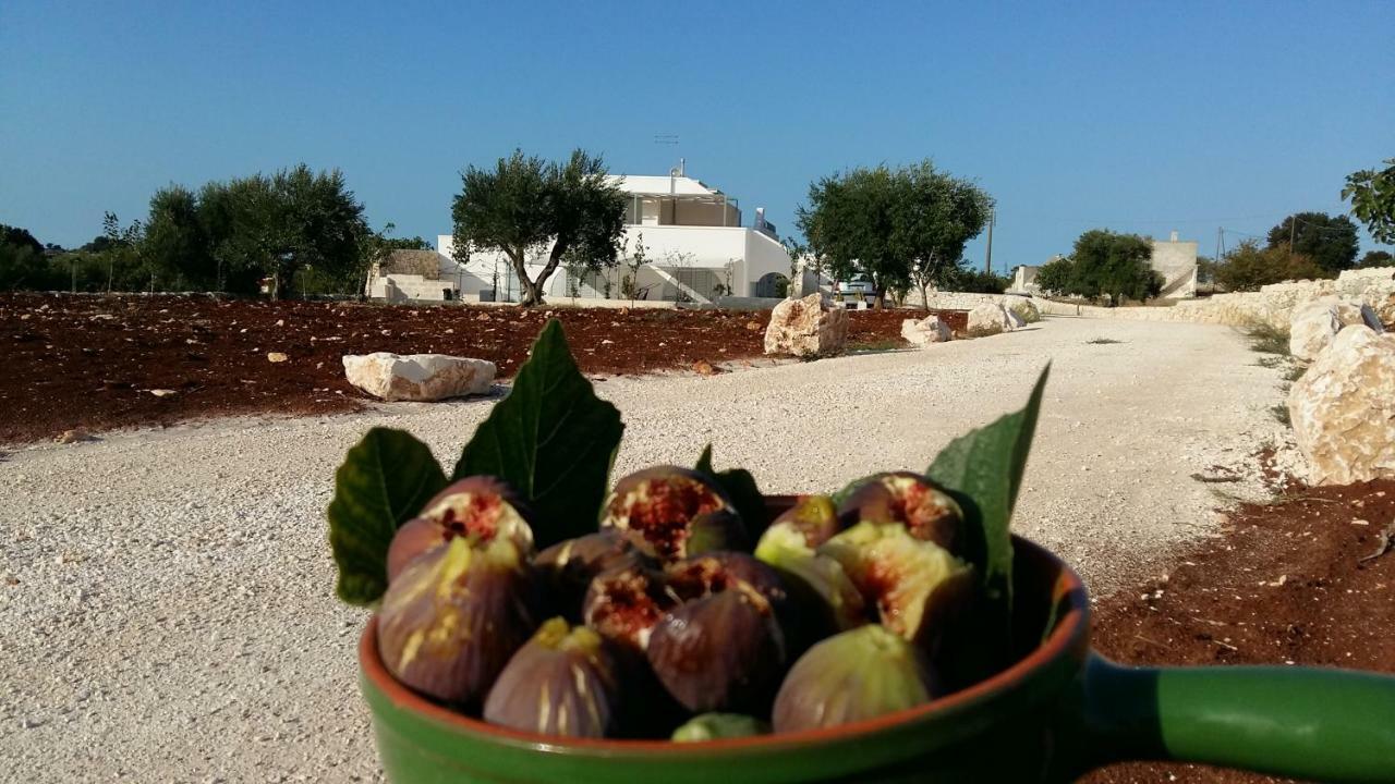 Dimora Verde B Con Trullo Masseria Poesia Cisternino Exterior foto